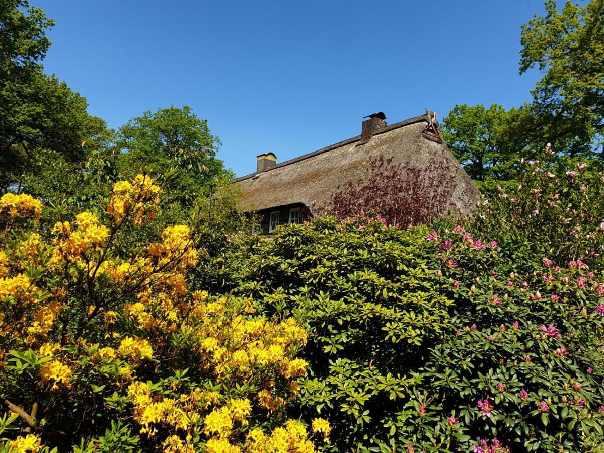 Ferienhaus Lindemann Schneverdingen Exterior foto