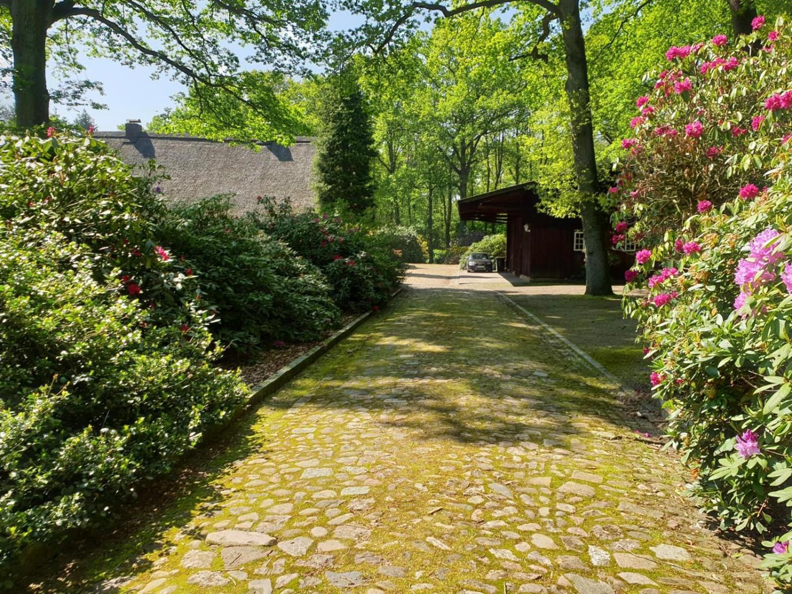 Ferienhaus Lindemann Schneverdingen Exterior foto